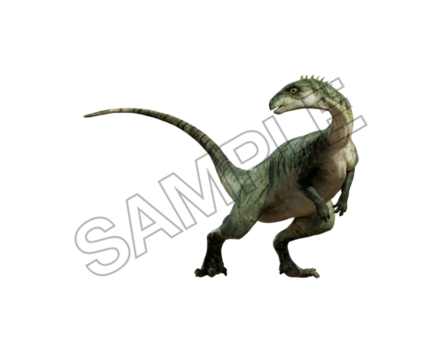 dinosaur sample image png