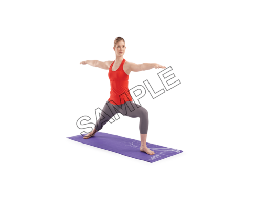 yoga stance sample image png