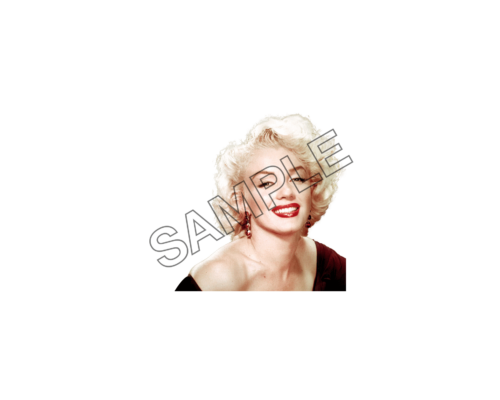 Marilyn Monroe Charm sample image png