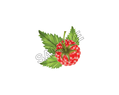 raspberry savory sample image png