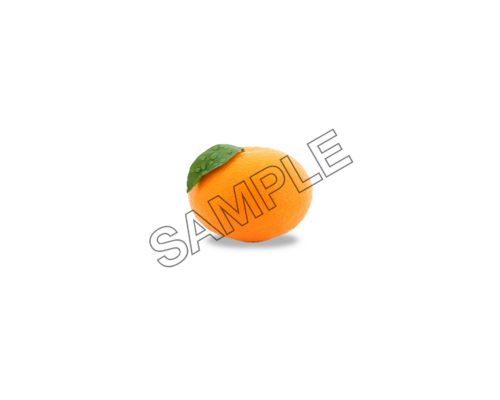 orange savory sample image png