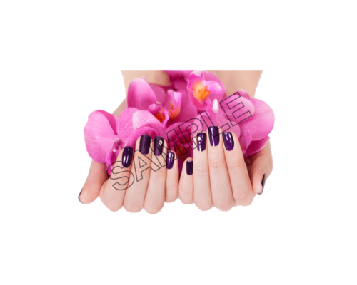 finger nails burgundy sample image png