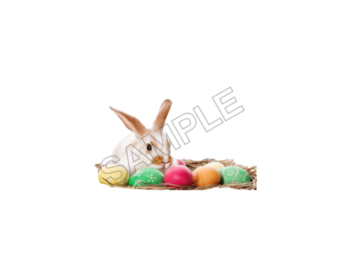 easter sample image png